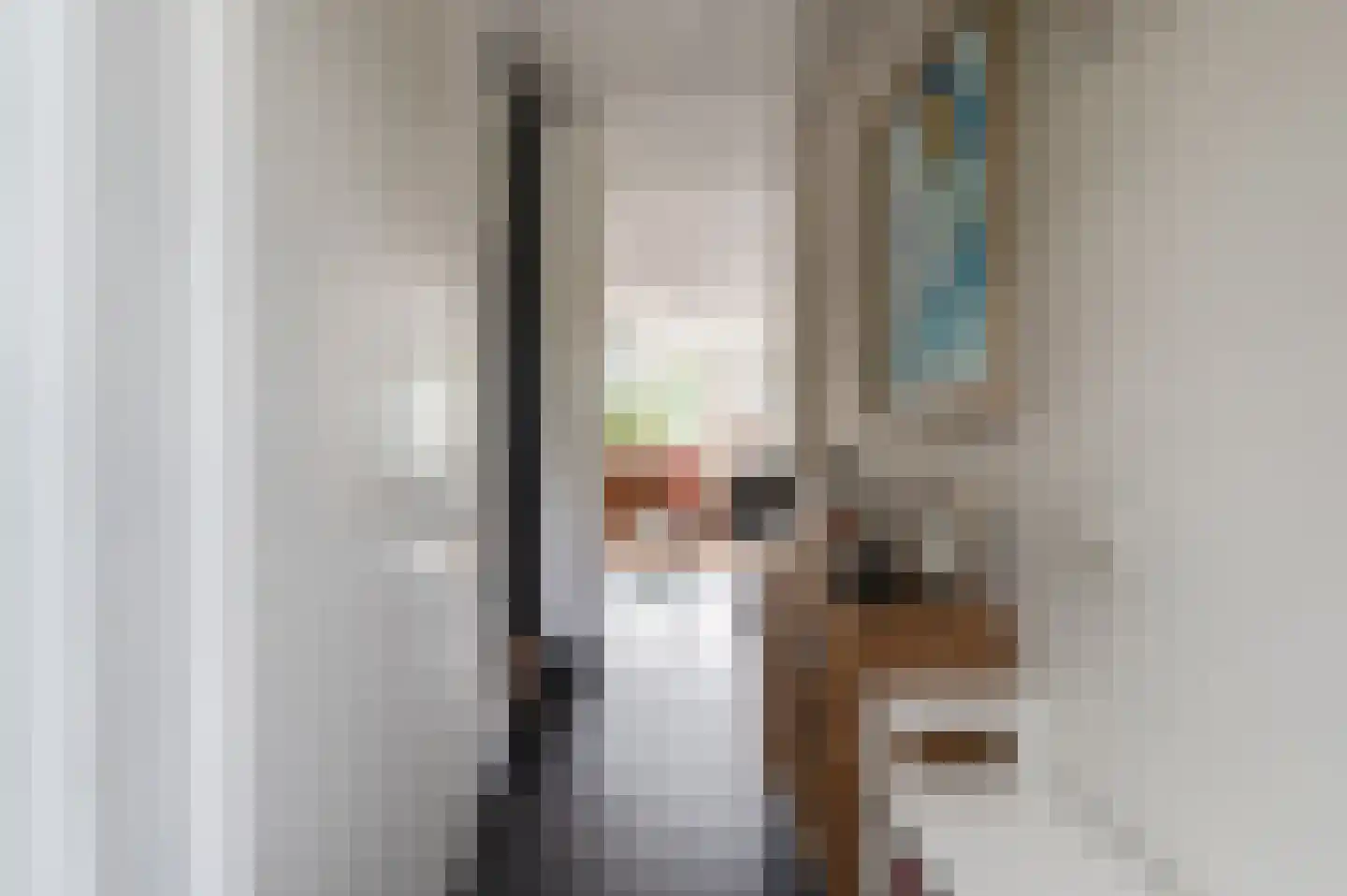 Toon van Dijkstraat 4 Cothen thumbnail 8