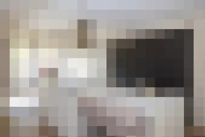 Toon van Durenlaan 1 Nistelrode thumbnail 16