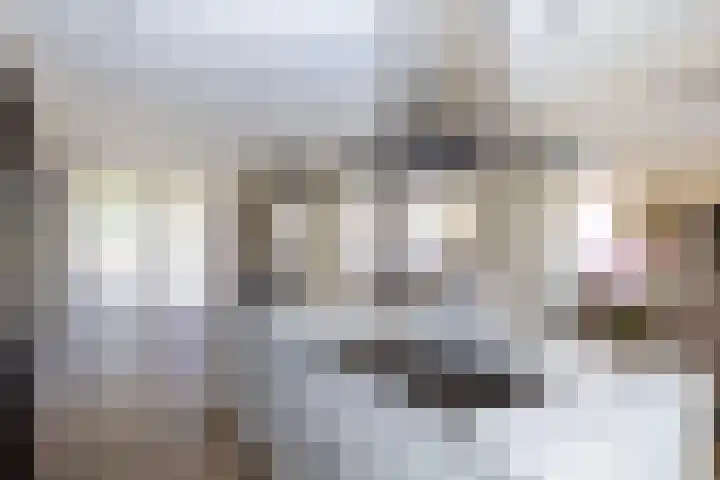 Toon van Durenlaan 1 Nistelrode thumbnail 18