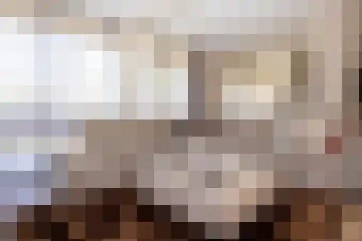 Toon van Durenlaan 1 Nistelrode thumbnail 22