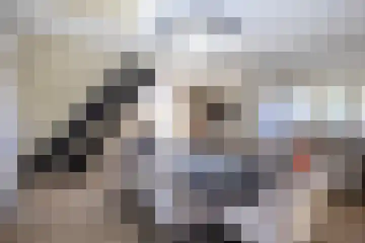 Toon van Durenlaan 1 Nistelrode thumbnail 24