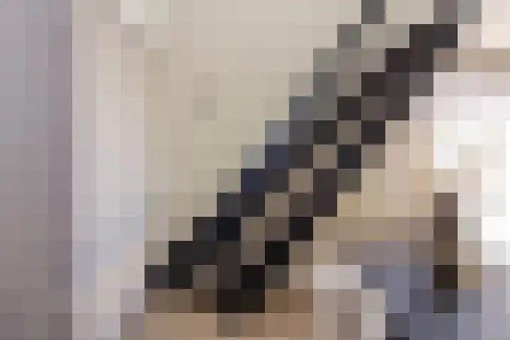 Toon van Durenlaan 1 Nistelrode thumbnail 25