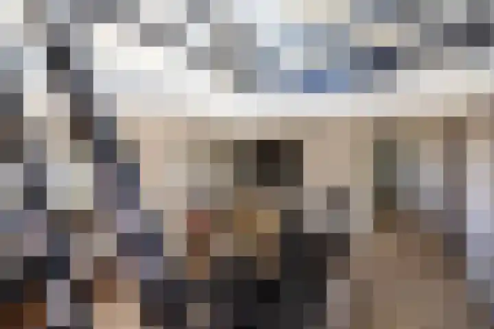 Toon van Durenlaan 1 Nistelrode thumbnail 26