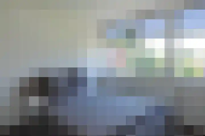 Toon van Durenlaan 1 Nistelrode thumbnail 28