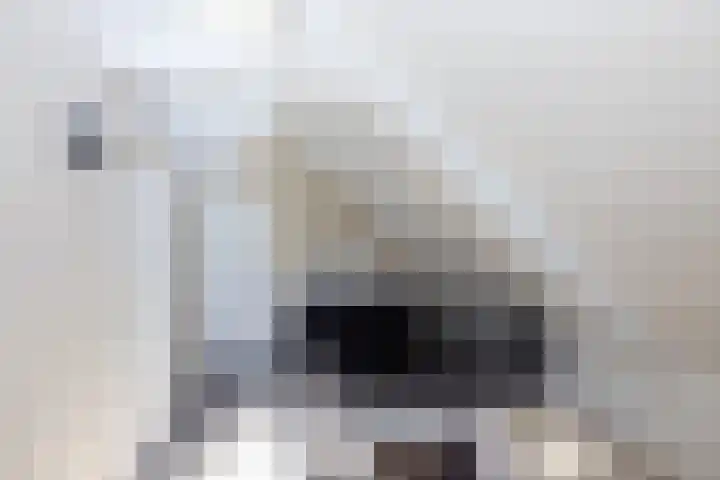 Toon van Durenlaan 1 Nistelrode thumbnail 29