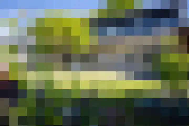 Toon van Durenlaan 1 Nistelrode thumbnail 38