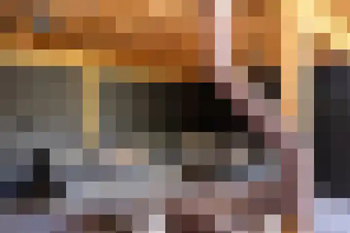 Toon van Durenlaan 1 Nistelrode thumbnail 39