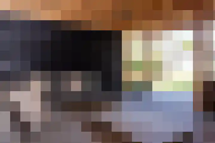 Toon van Durenlaan 1 Nistelrode thumbnail 40