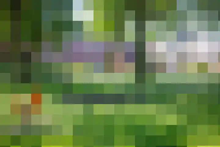 Toon van Durenlaan 1 Nistelrode thumbnail 42