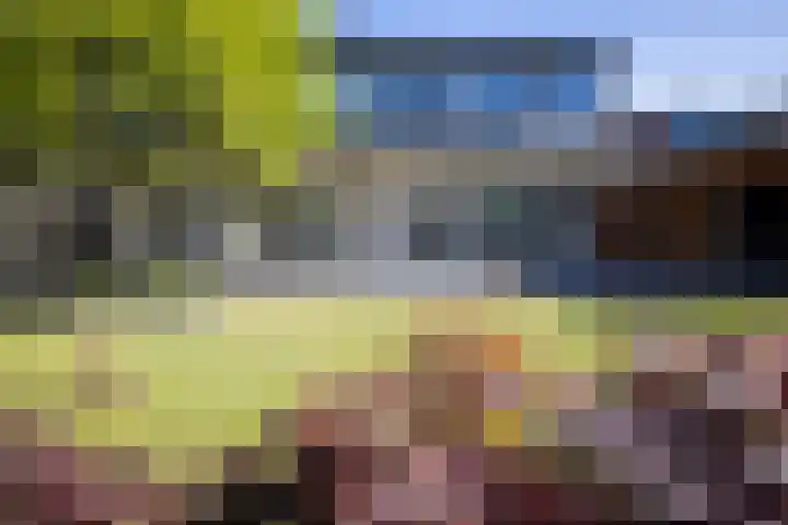 Toon van Durenlaan 1 Nistelrode thumbnail 5