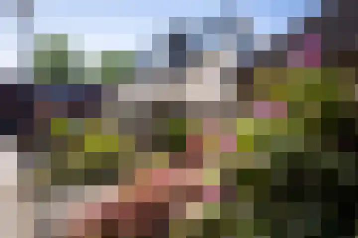 Toon van Durenlaan 1 Nistelrode thumbnail 7