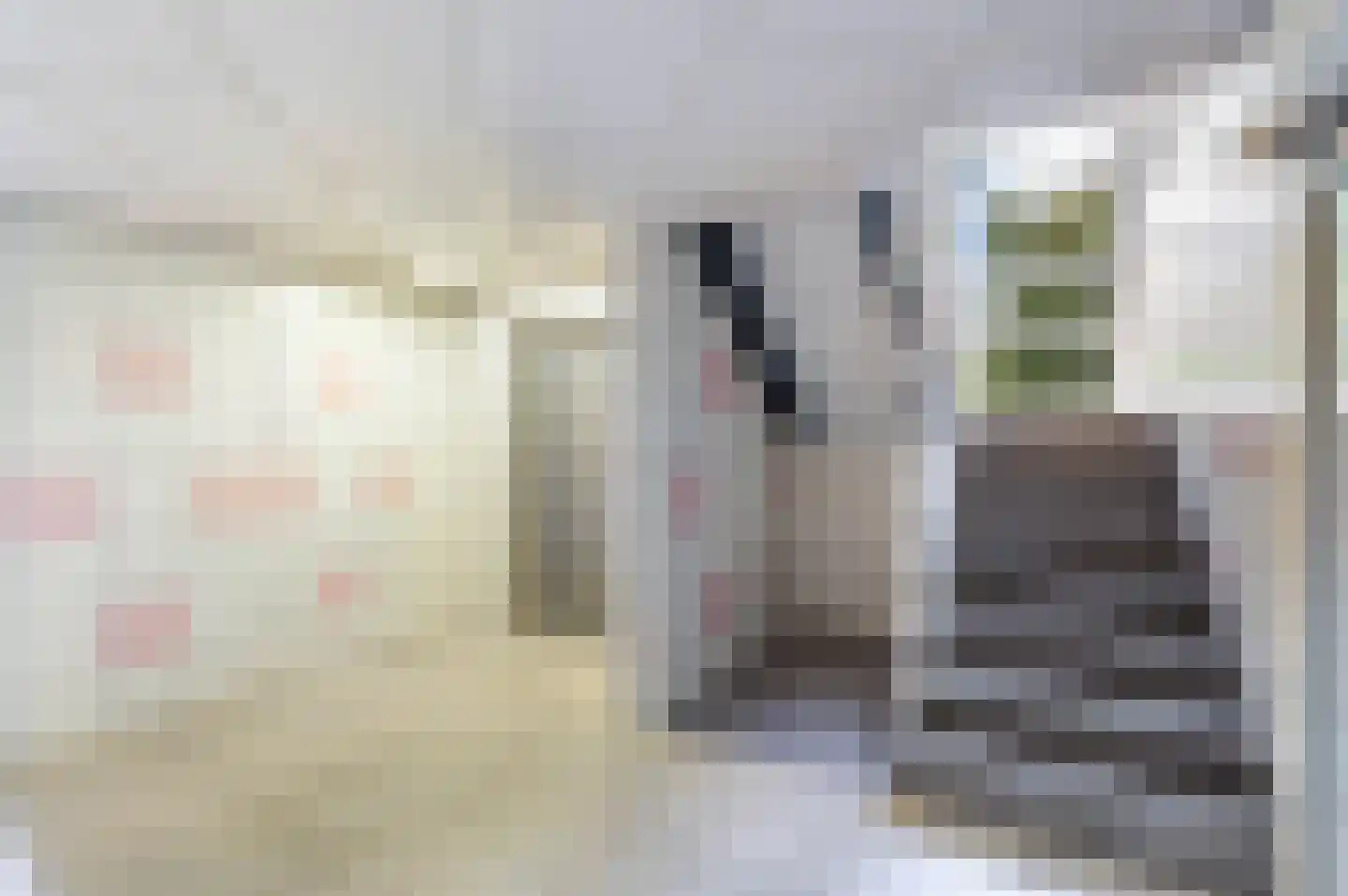 Toon Verheystraat 1 Schiedam thumbnail 28