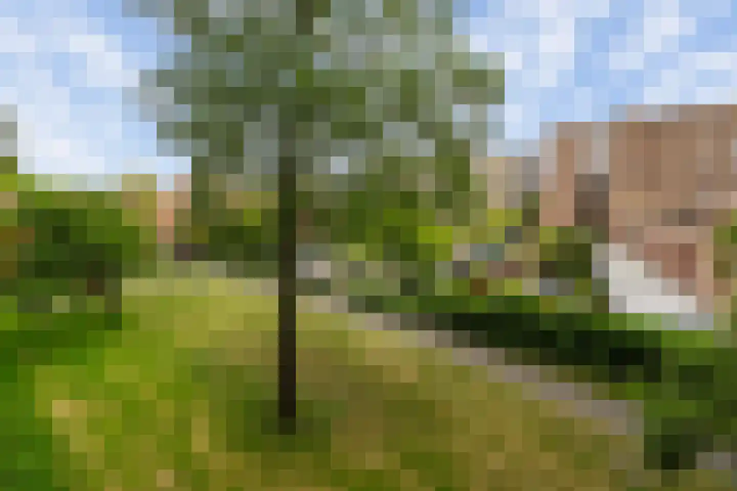 Toon Verheystraat 111 Schiedam thumbnail 4