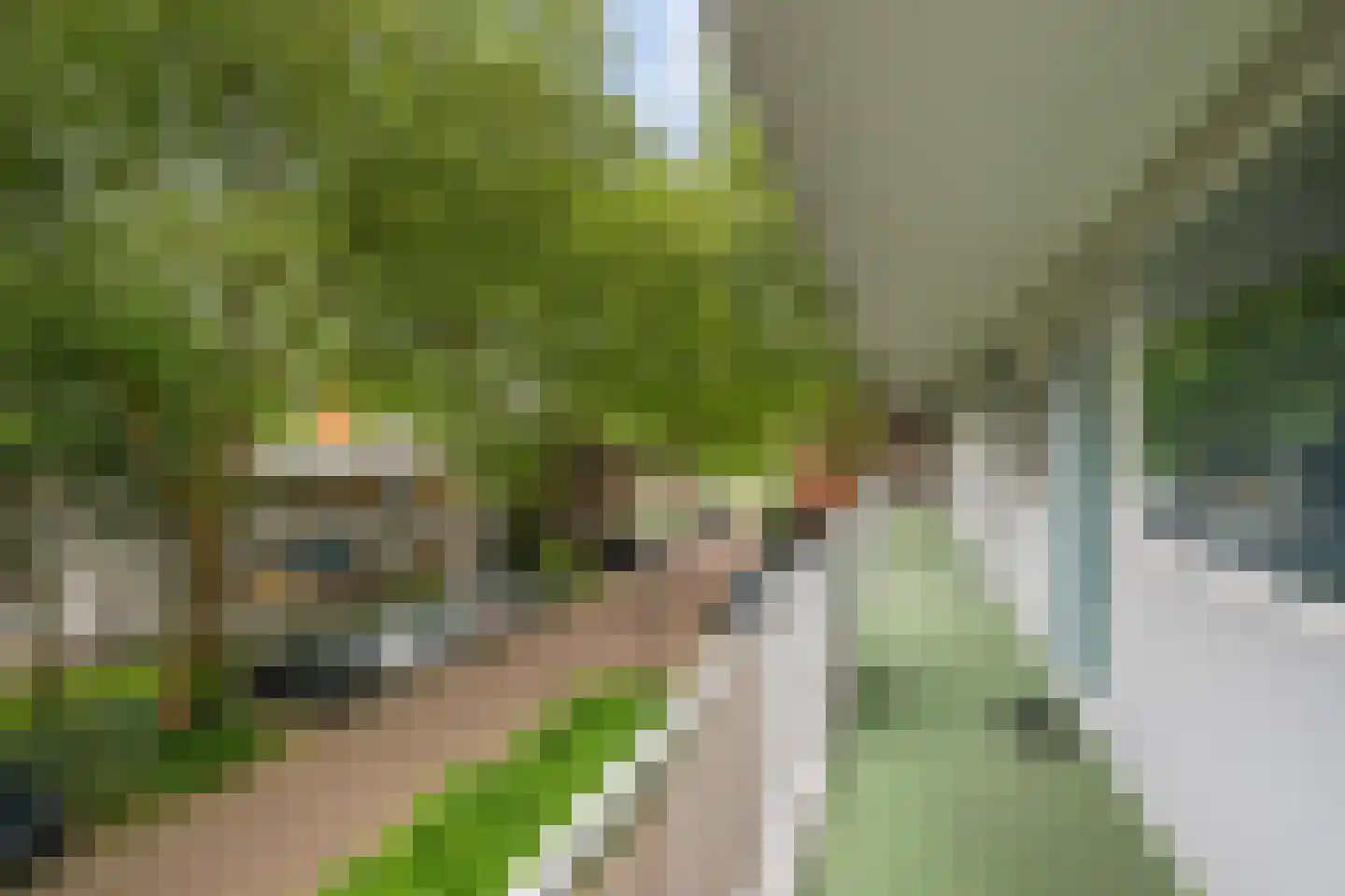 Toon Verheystraat 111 Schiedam thumbnail 6