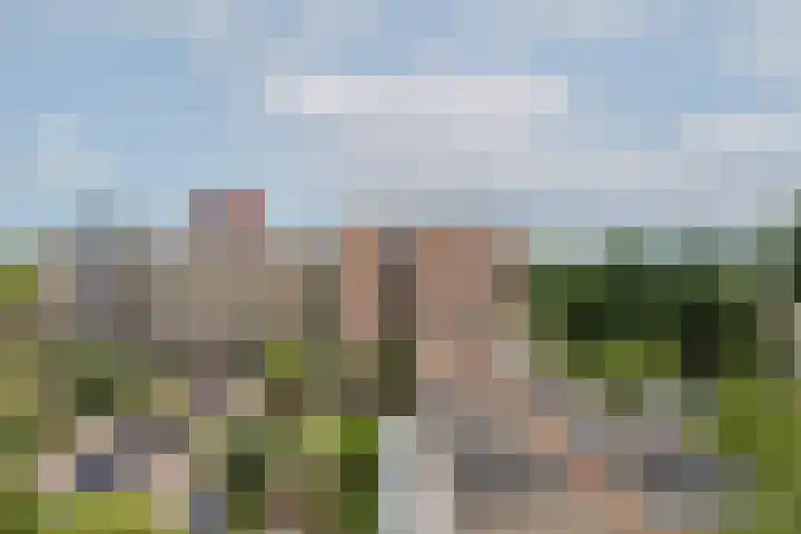 Toon Verheystraat 161 Schiedam thumbnail 37