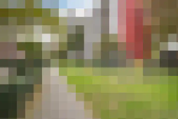 Toon Verheystraat 169 Schiedam thumbnail 28