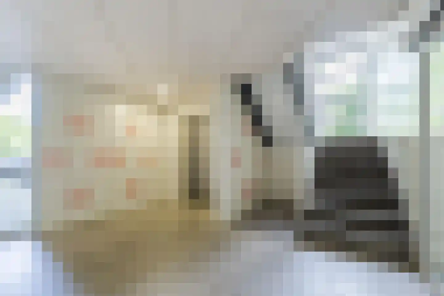 Toon Verheystraat 27 Schiedam thumbnail 8