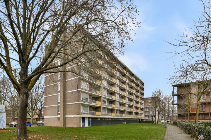 Toon Verheystraat 61 dans Schiedam photo