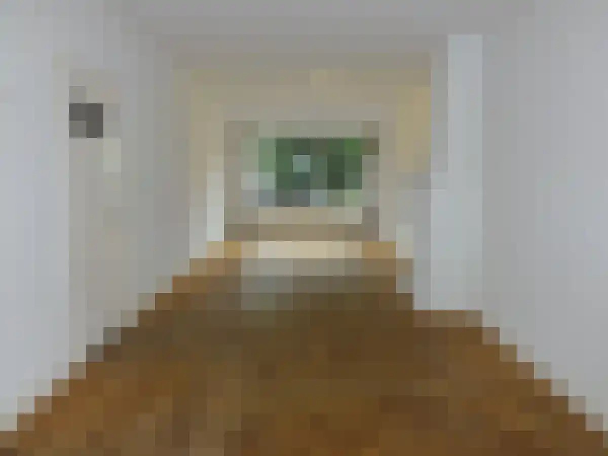 Toorenveltstraat 14 Oegstgeest thumbnail 5