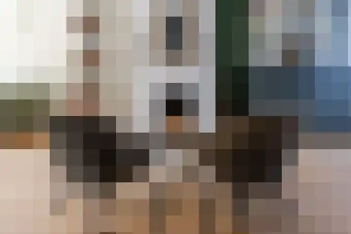 Toorenveltstraat 5 Oegstgeest thumbnail 11