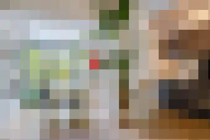 Toorenveltstraat 5 Oegstgeest thumbnail 12