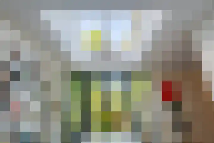 Toorenveltstraat 5 Oegstgeest thumbnail 18