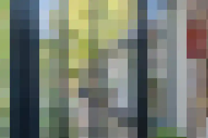 Toorenveltstraat 5 Oegstgeest thumbnail 19