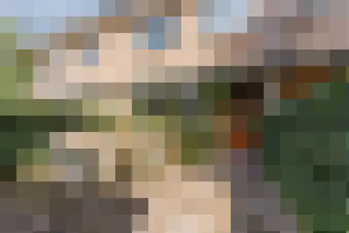 Toorenveltstraat 5 Oegstgeest thumbnail 4