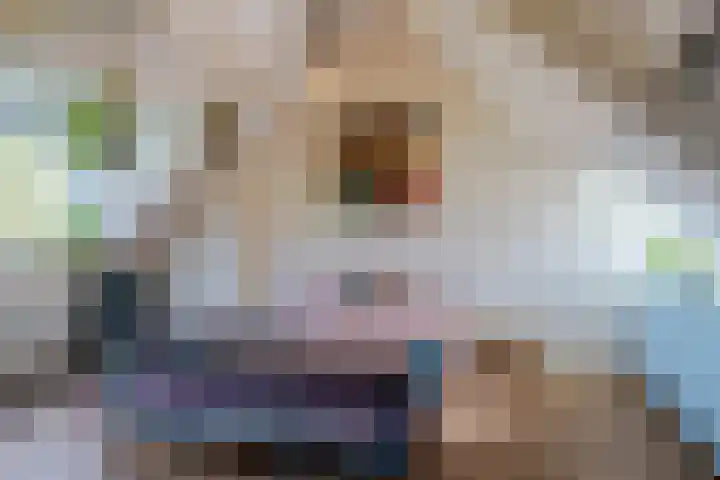 Toorenveltstraat 5 Oegstgeest thumbnail 40