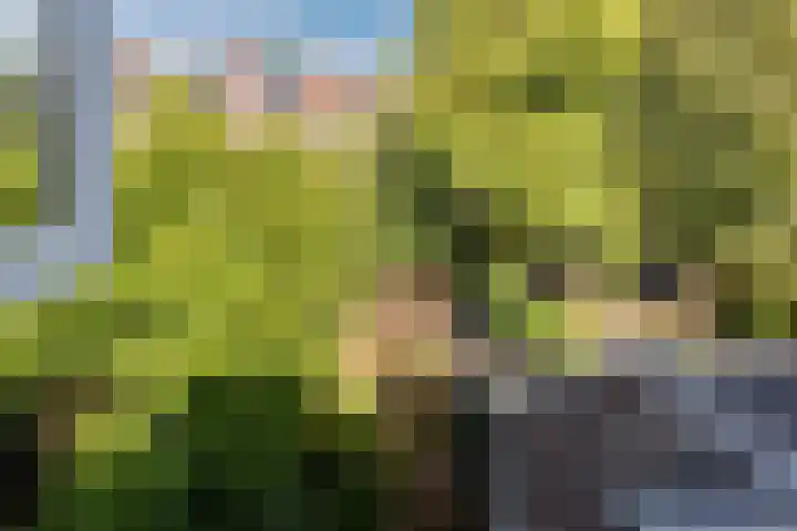 Toorenveltstraat 5 Oegstgeest thumbnail 45