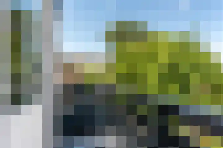 Toorenveltstraat 5 Oegstgeest thumbnail 47