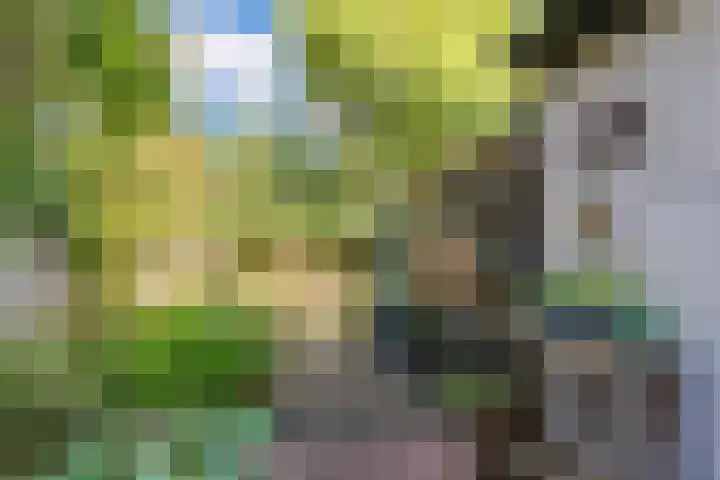 Toorenveltstraat 5 Oegstgeest thumbnail 48