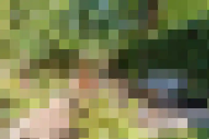 Toorenveltstraat 5 Oegstgeest thumbnail 50