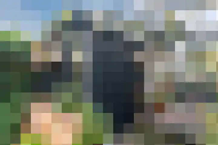 Toorenveltstraat 5 Oegstgeest thumbnail 51