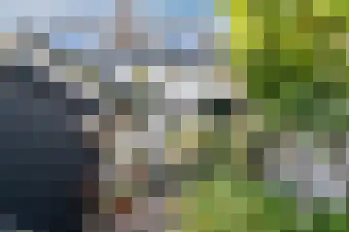 Toorenveltstraat 5 Oegstgeest thumbnail 52