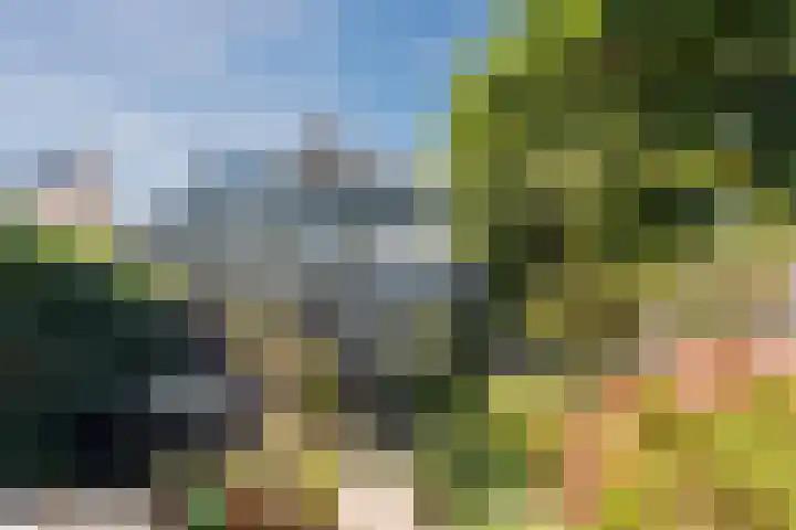 Toorenveltstraat 5 Oegstgeest thumbnail 53