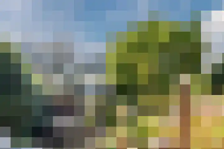 Toorenveltstraat 5 Oegstgeest thumbnail 54