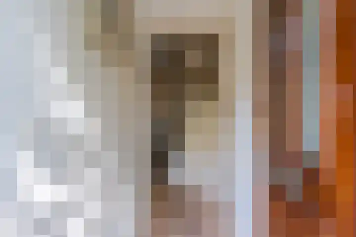 Toorenveltstraat 5 Oegstgeest thumbnail 6