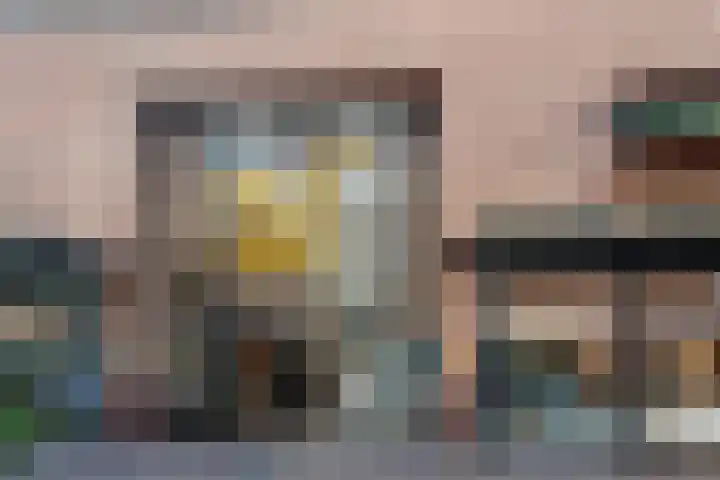 Toorenveltstraat 5 Oegstgeest thumbnail 60