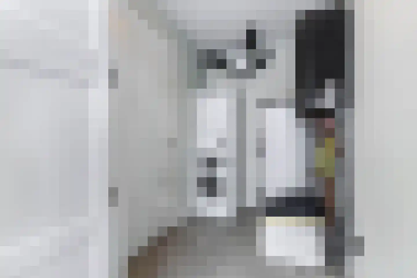 Toornhage 7 Emmeloord thumbnail 20