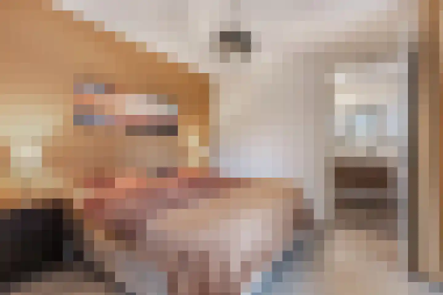 Toornhage 7 Emmeloord thumbnail 22
