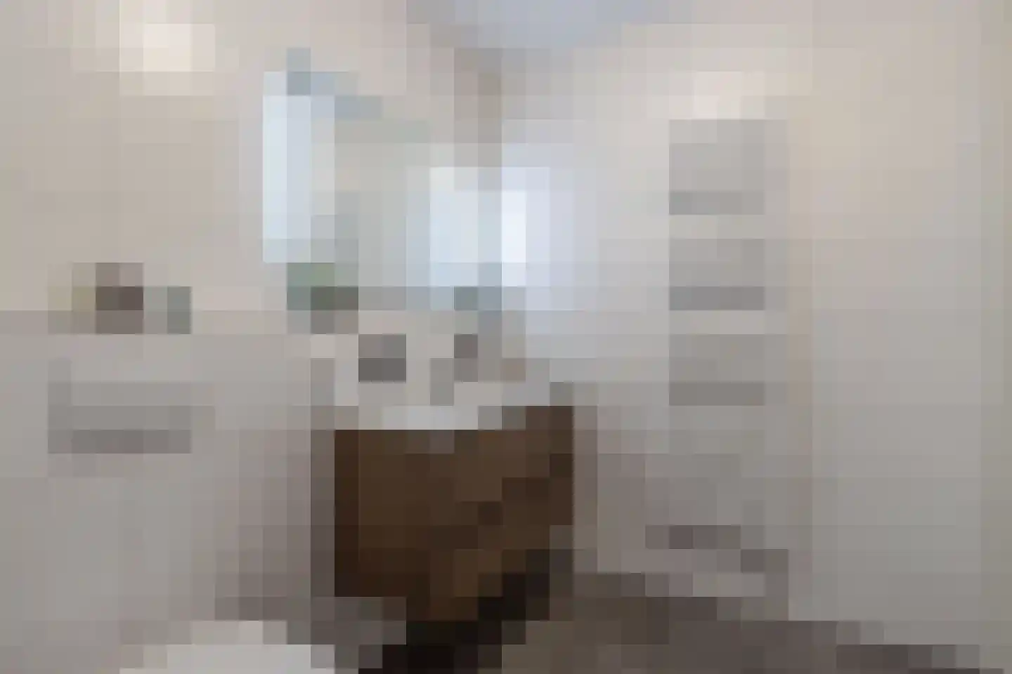 Toornhage 7 Emmeloord thumbnail 24