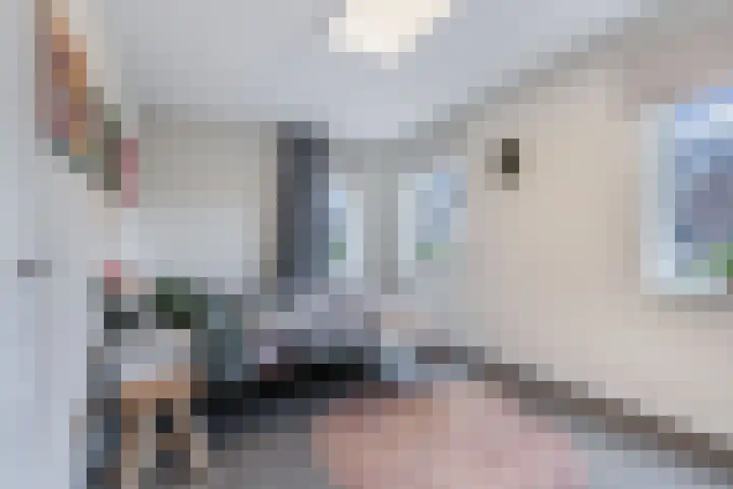 Toornhage 7 Emmeloord thumbnail 26