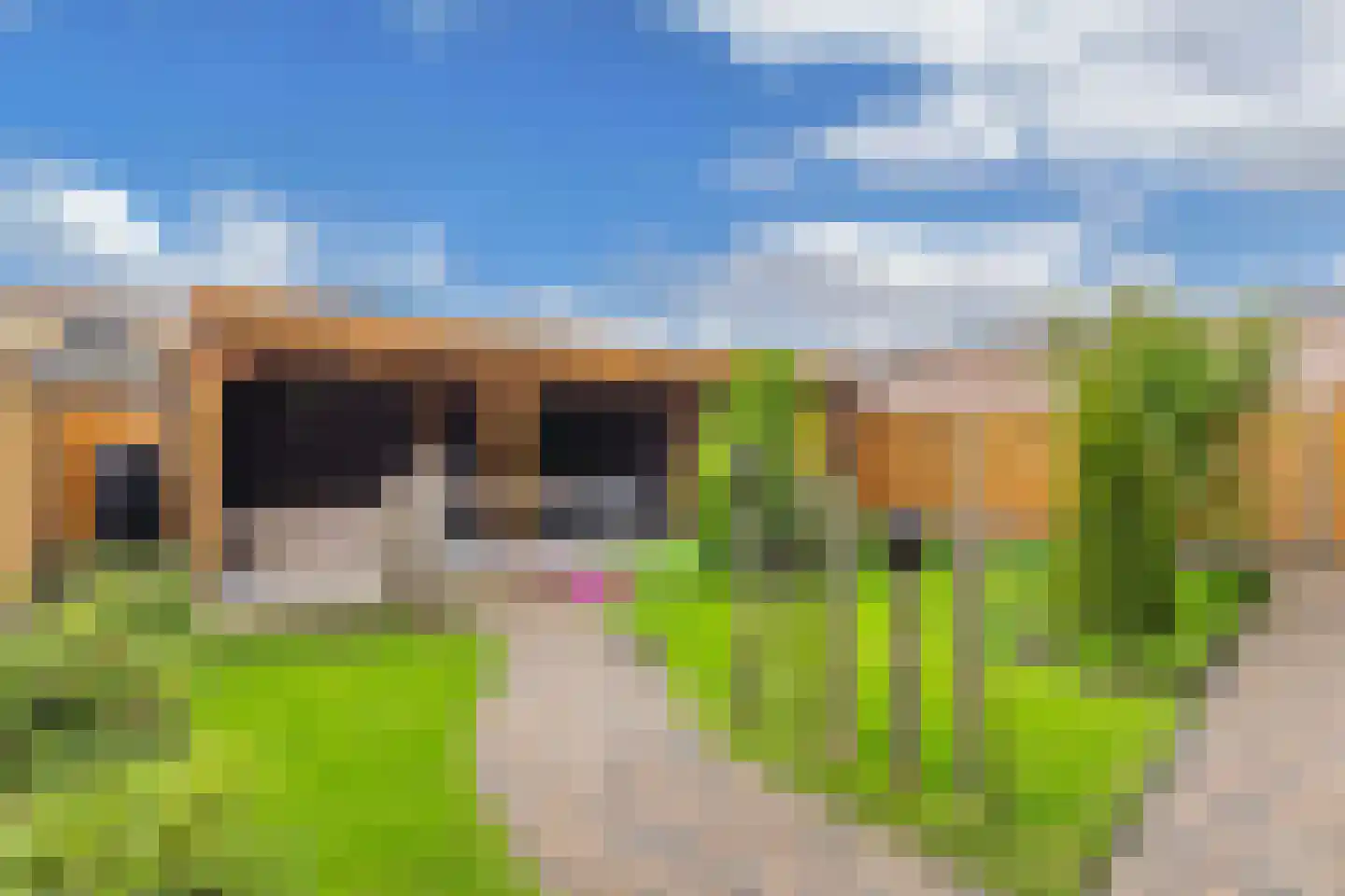 Toornhage 7 Emmeloord thumbnail 38