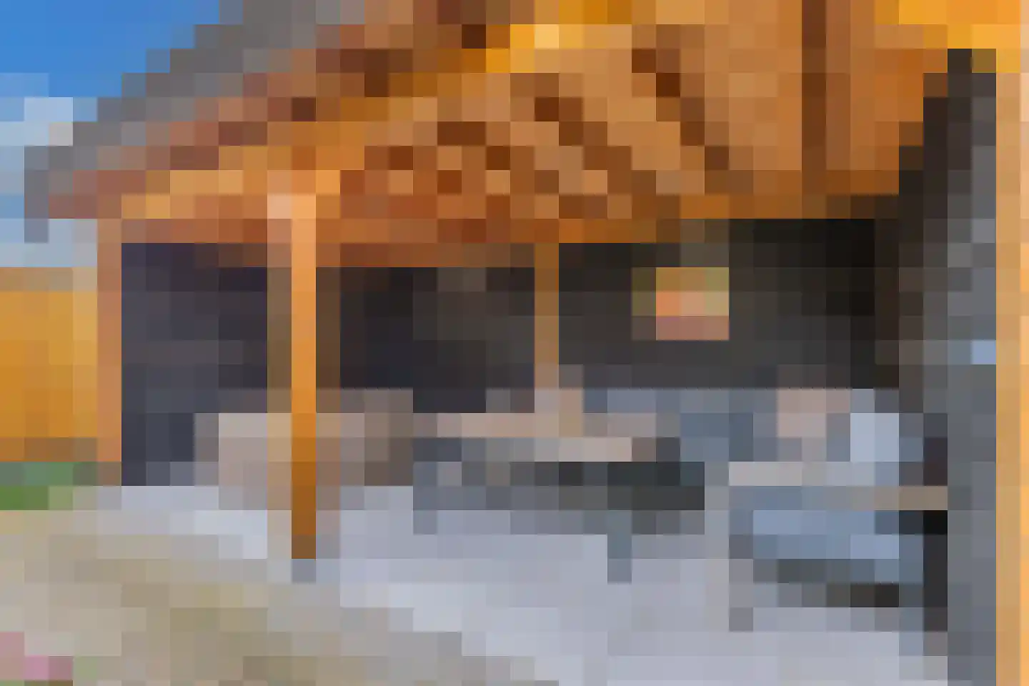 Toornhage 7 Emmeloord thumbnail 40