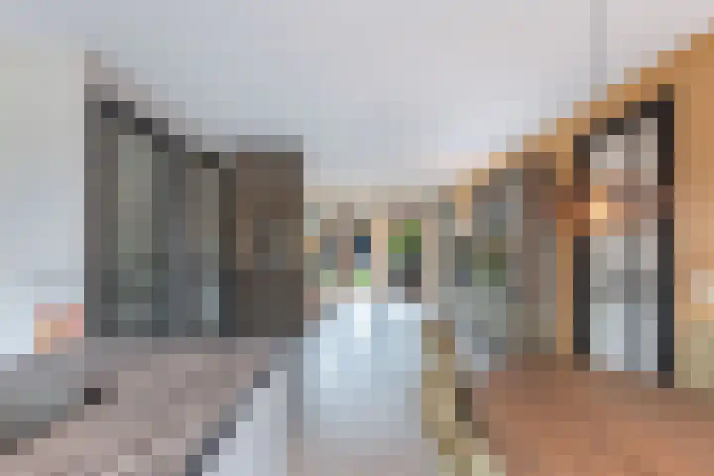 Toornhage 7 Emmeloord thumbnail 8
