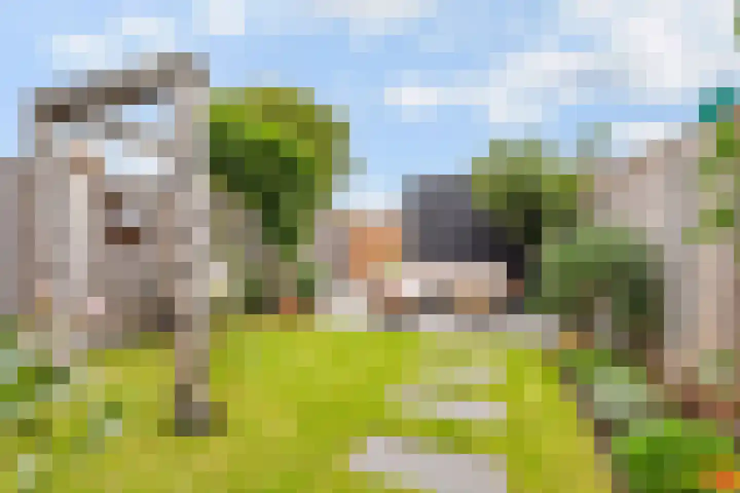 Toornkamp 9 Didam thumbnail 10