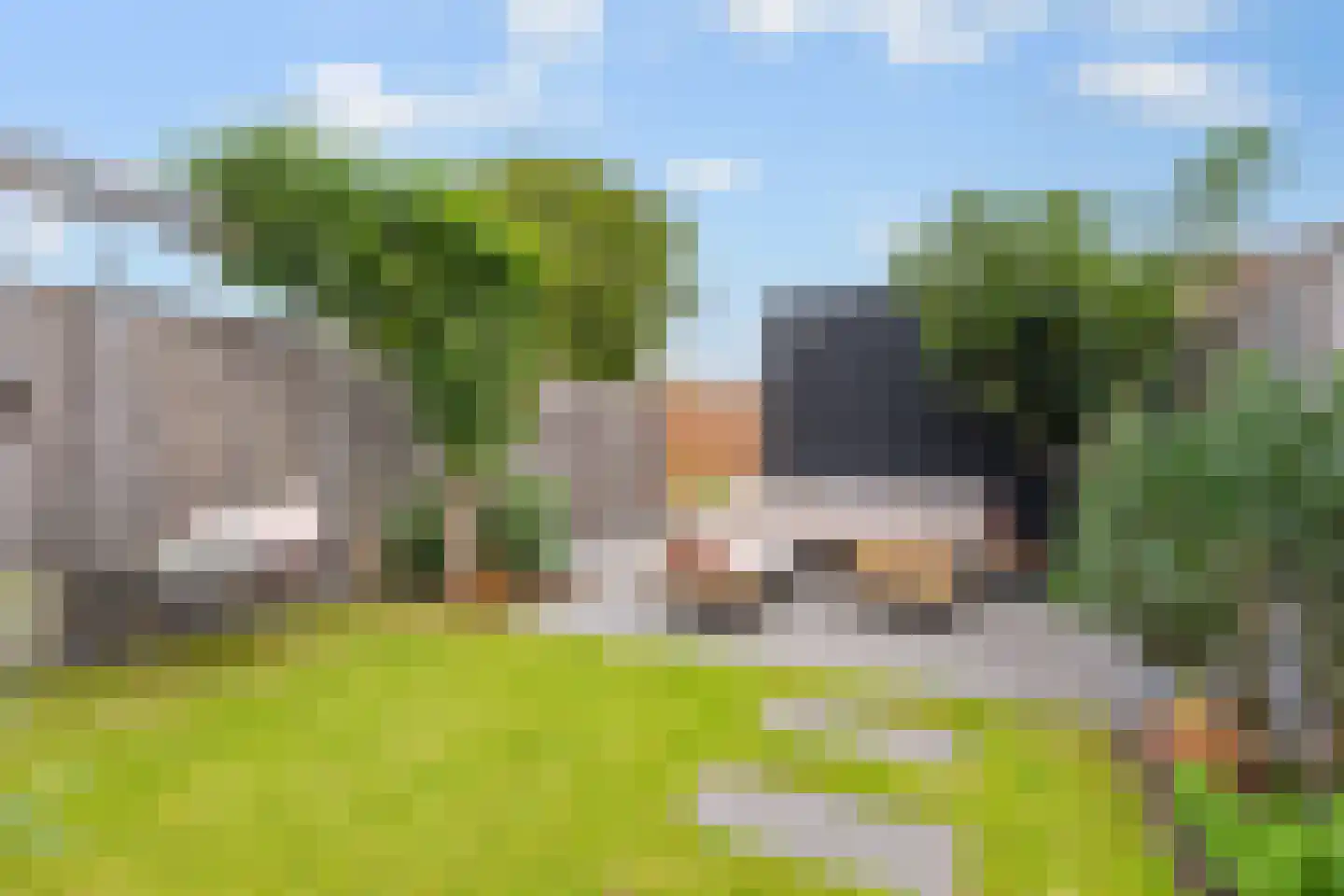 Toornkamp 9 Didam thumbnail 11