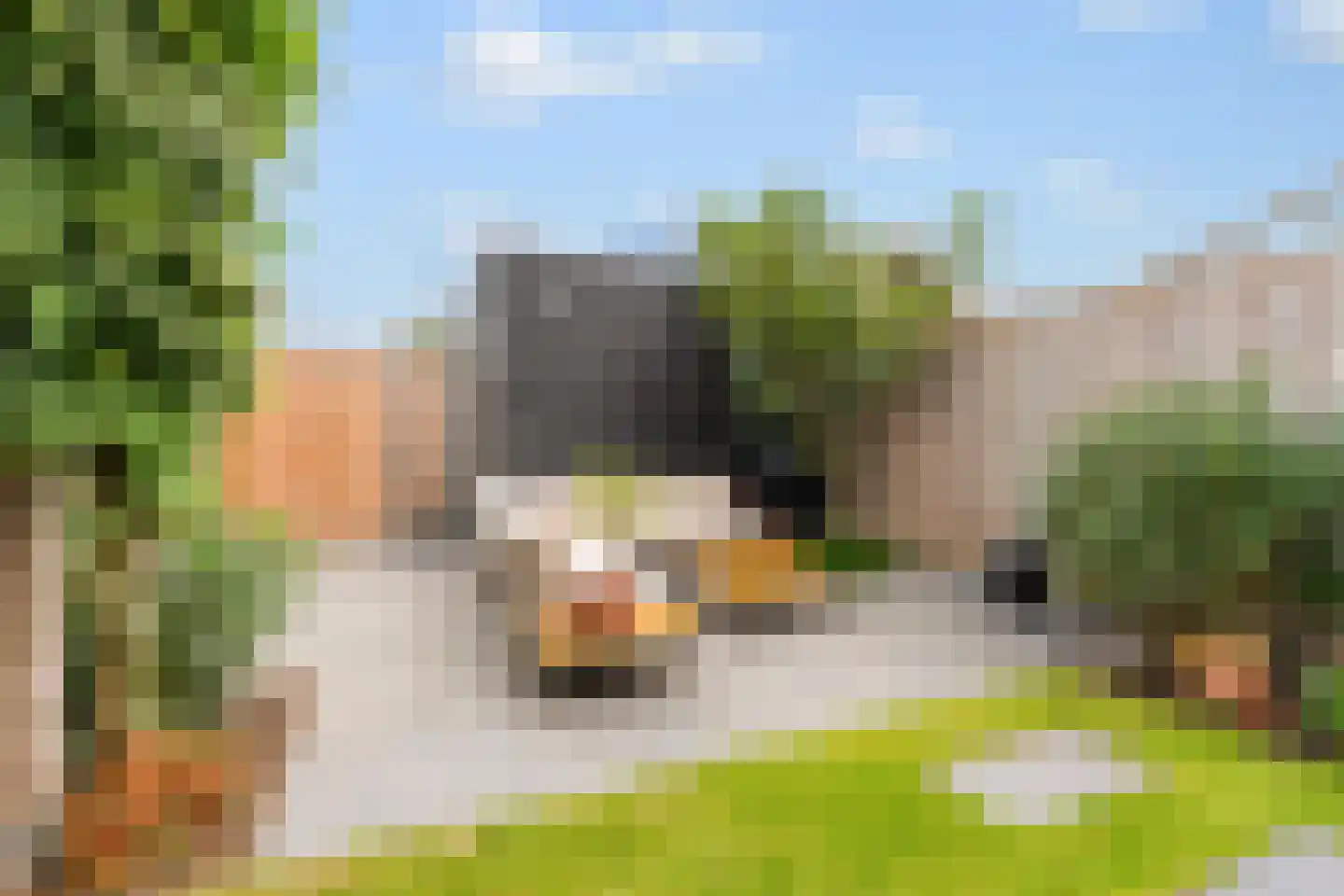 Toornkamp 9 Didam thumbnail 12