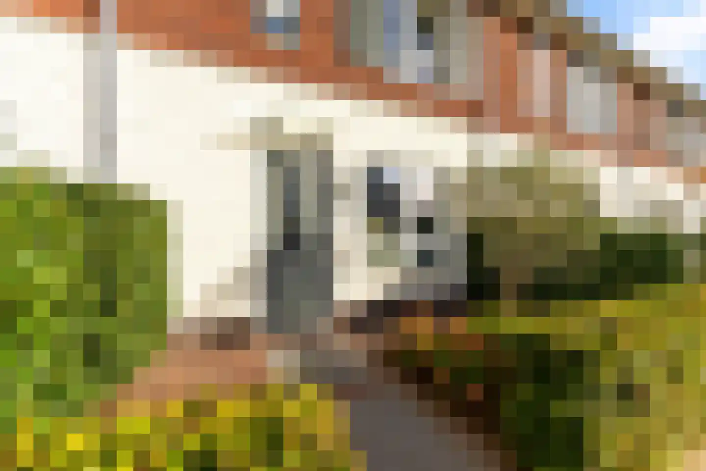 Toornkamp 9 Didam thumbnail 26